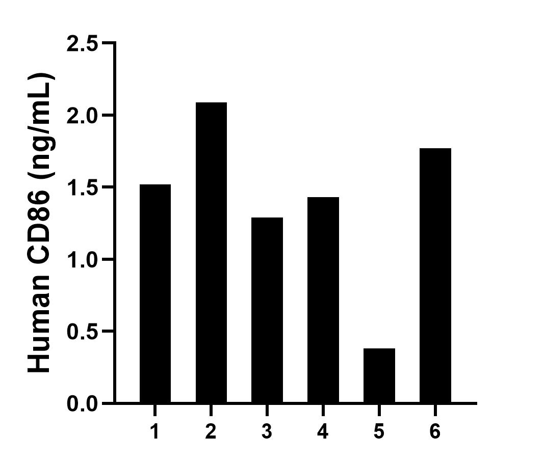 Serum of six individual healthy human donors was measured. The CD86 concentration of detected samples was determined to be 1.41 ng/mL with a range of 0.38 - 2.09 ng/mL.